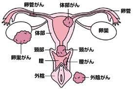 【画像】がん検診（下野市、小山市、野木町）